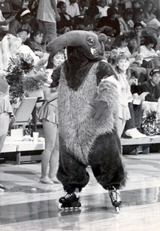 Illustration for article titled If You Like Anteaters, Root For UC Irvine